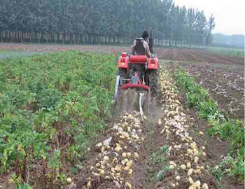 চীন Two Rows Small Agricultural Machinery Small Scale Farming Equipment সরবরাহকারী