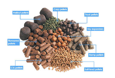 Floating Fish Feed Pellet Machine Animal Feed Pellet Machine 60-80KG/H সরবরাহকারী
