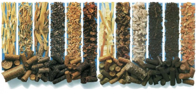 1T/H Biomass Pellet Making Machine Wood Pellet Production Line For Bamboo , Peanut Shell